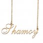 Custom Made Delicate Any Name Necklace for Mother Girlfriend Shamoy