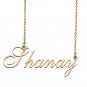 Custom Made Delicate Any Name Necklace for Mother Girlfriend Shanay