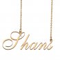 Custom Made Delicate Any Name Necklace for Mother Girlfriend Shans