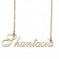Custom Made Delicate Any Name Necklace for Mother Girlfriend Shantasia
