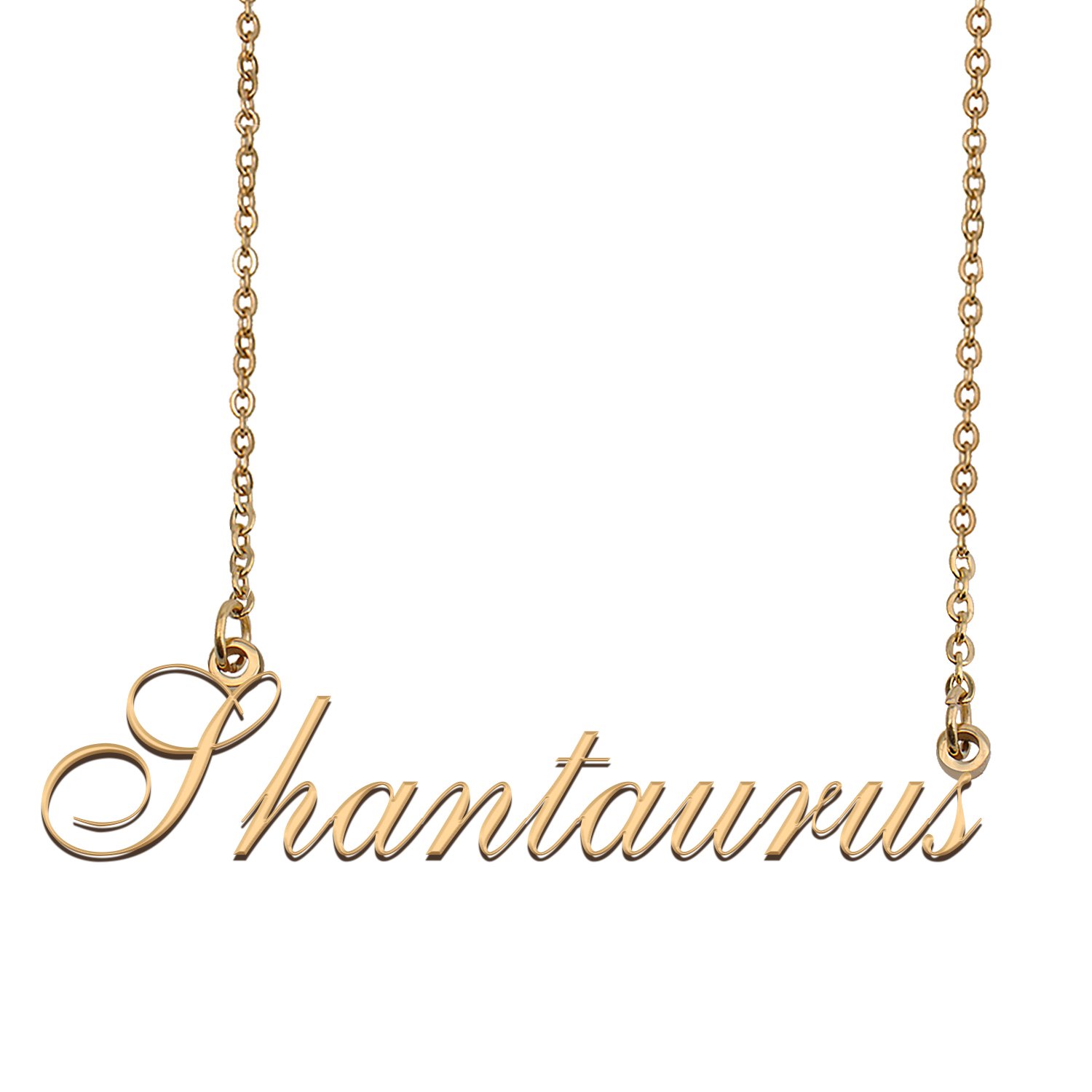 Custom Made Delicate Any Name Necklace for Mother Girlfriend Shantaurus