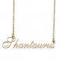 Custom Made Delicate Any Name Necklace for Mother Girlfriend Shantaurus