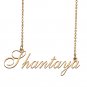 Custom Made Delicate Any Name Necklace for Mother Girlfriend Shantaya