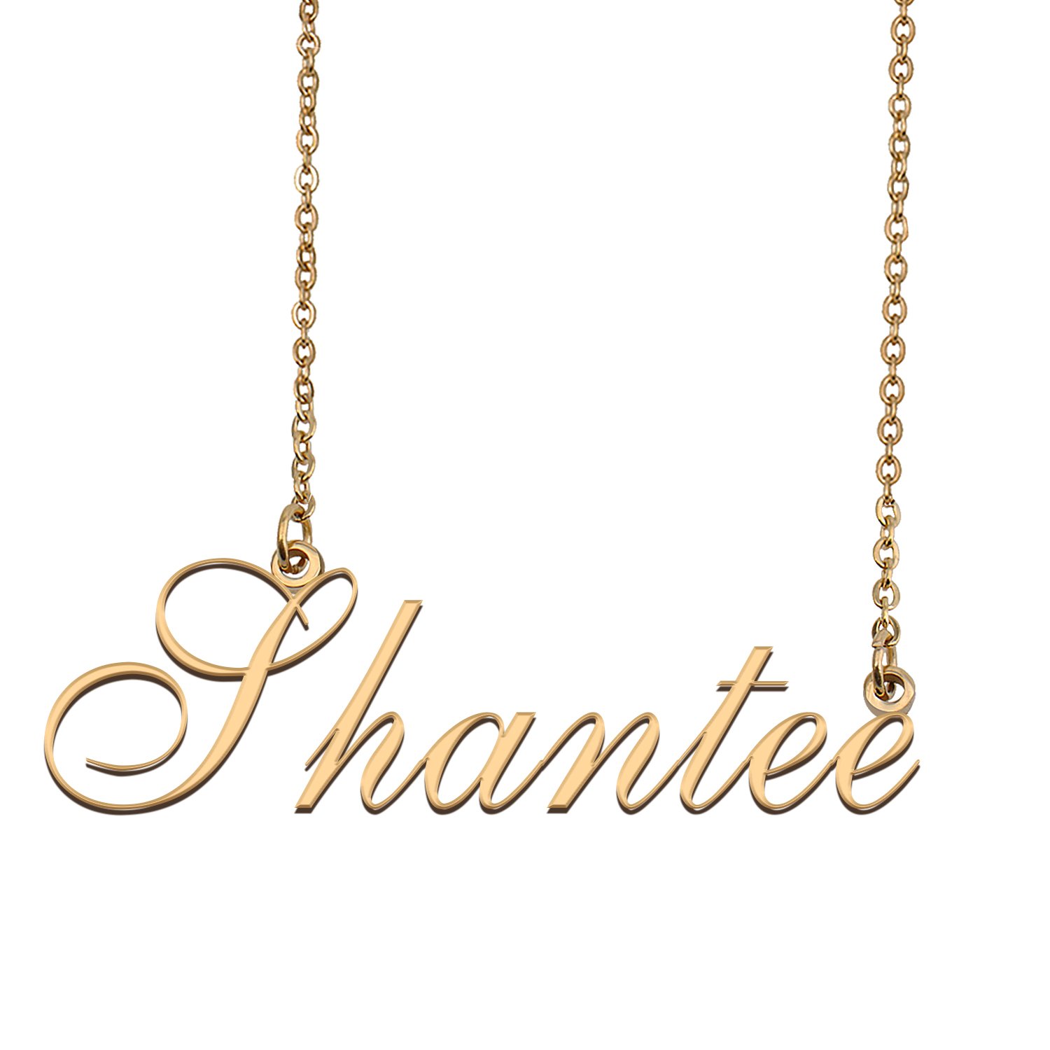 Custom Made Delicate Any Name Necklace for Mother Girlfriend Shantee