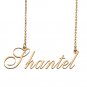 Custom Made Delicate Any Name Necklace for Mother Girlfriend Shantel