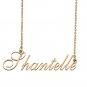 Custom Made Delicate Any Name Necklace for Mother Girlfriend Shantelle