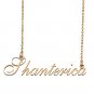 Custom Made Delicate Any Name Necklace for Mother Girlfriend Shanterica