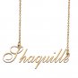 Custom Made Delicate Any Name Necklace for Mother Girlfriend Shaquille