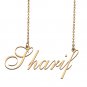 Custom Made Delicate Any Name Necklace for Mother Girlfriend Sharif
