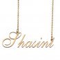 Custom Made Delicate Any Name Necklace for Mother Girlfriend Shasini