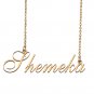 Custom Made Delicate Any Name Necklace for Mother Girlfriend Shemeka