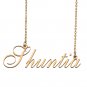 Custom Made Delicate Any Name Necklace for Mother Girlfriend Shuntia