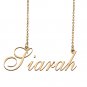 Custom Made Delicate Any Name Necklace for Mother Girlfriend Siarah
