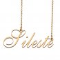 Custom Made Delicate Any Name Necklace for Mother Girlfriend Sileste
