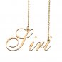 Custom Made Delicate Any Name Necklace for Mother Girlfriend Siri