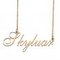 Custom Made Delicate Any Name Necklace for Mother Girlfriend Skyluar