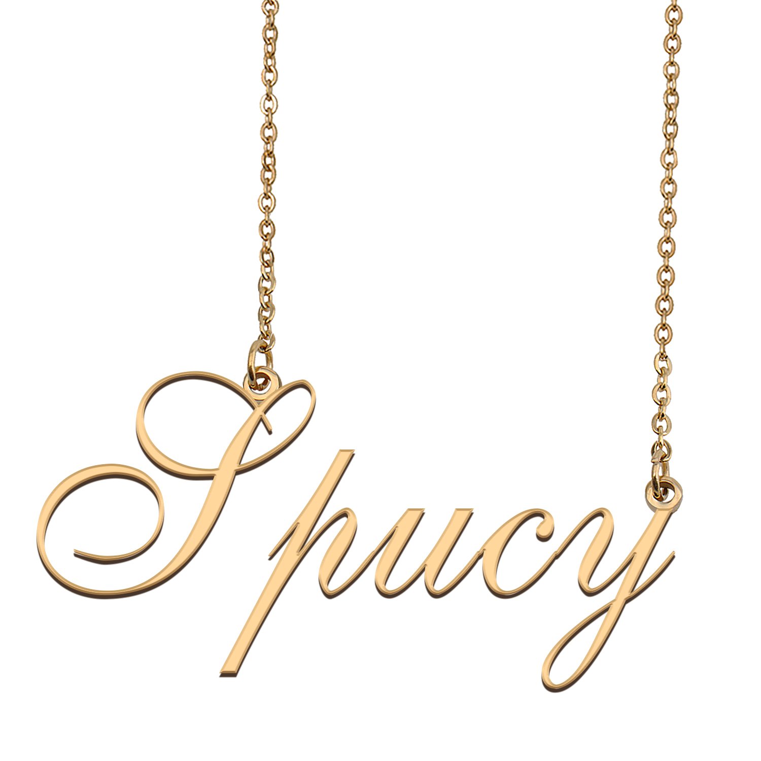 Custom Made Delicate Any Name Necklace for Mother Girlfriend Spucy