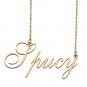 Custom Made Delicate Any Name Necklace for Mother Girlfriend Spucy