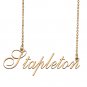Custom Made Delicate Any Name Necklace for Mother Girlfriend Stapleton