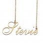 Custom Made Delicate Any Name Necklace for Mother Girlfriend Stevie