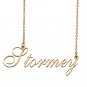 Custom Made Delicate Any Name Necklace for Mother Girlfriend Stormey