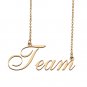 Customized Charm Pendant Jewelry Any Name Necklace for Grandmother for Her Team