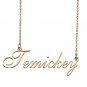 Customized Charm Pendant Jewelry Any Name Necklace for Grandmother for Her Temickey