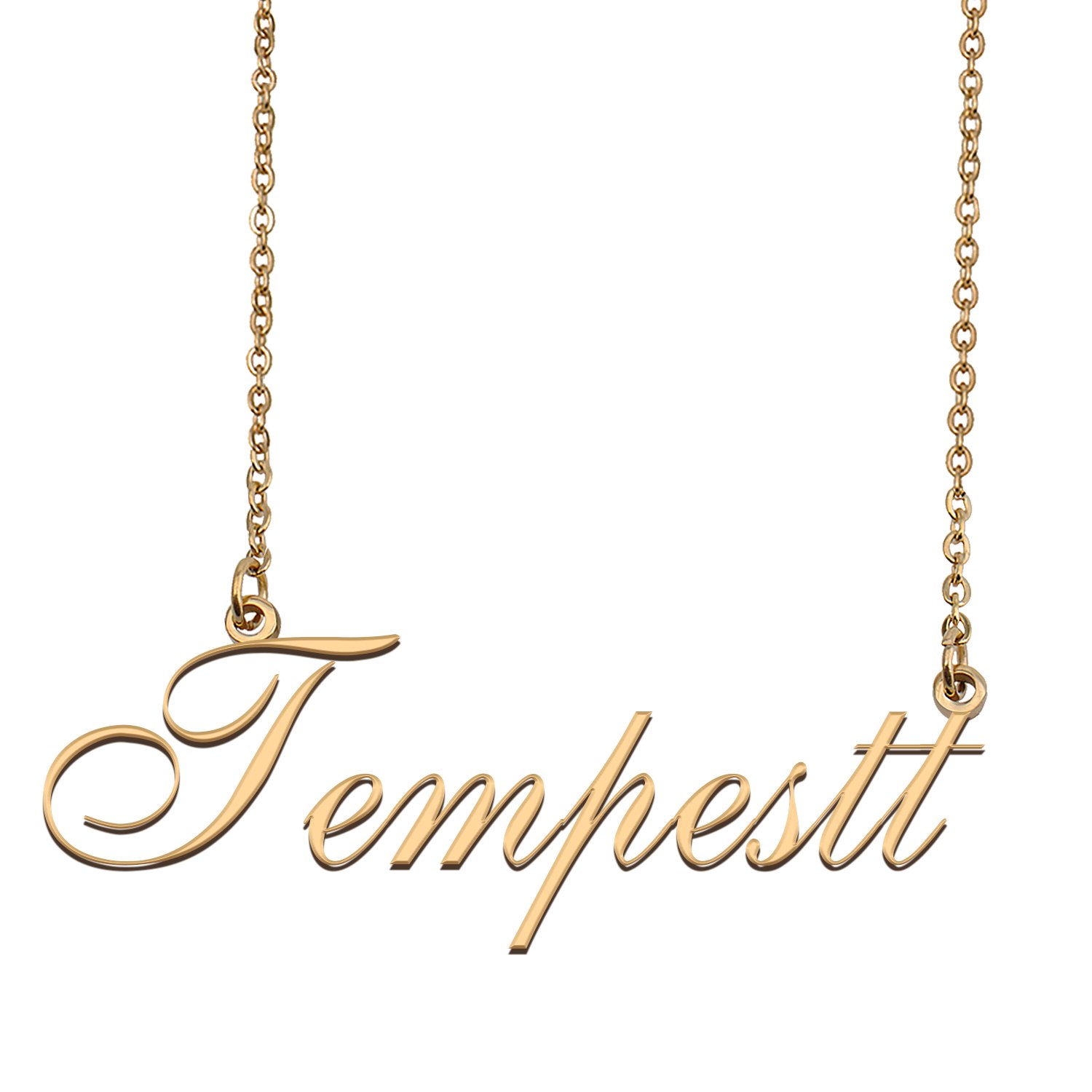 Customized Charm Pendant Jewelry Any Name Necklace for Grandmother for Her Tempestt