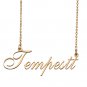 Customized Charm Pendant Jewelry Any Name Necklace for Grandmother for Her Tempestt