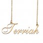 Customized Charm Pendant Jewelry Any Name Necklace for Grandmother for Her Terriah