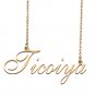 Customized Charm Pendant Jewelry Any Name Necklace for Grandmother for Her Ticoiya