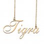 Customized Charm Pendant Jewelry Any Name Necklace for Grandmother for Her Tigra