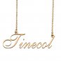 Customized Charm Pendant Jewelry Any Name Necklace for Grandmother for Her Tinecol
