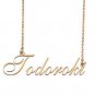 Customized Charm Pendant Jewelry Any Name Necklace for Grandmother for Her Todoroki