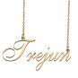 Custom Personalized Name Necklace in Golden Silver for Women Trejun