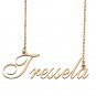Custom Personalized Name Necklace in Golden Silver for Women Tressela