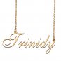 Custom Personalized Name Necklace in Golden Silver for Women Trinidy