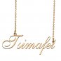 Custom Personalized Name Necklace in Golden Silver for Women Tsimafei