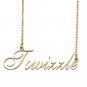 Custom Personalized Name Necklace in Golden Silver for Women Tswizzle