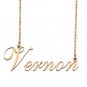 Custom Personalized Name Necklace in Golden Silver for Women Vernon
