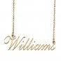 Custom Personalized Name Necklace in Golden Silver for Women Williams