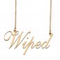 Custom Personalized Name Necklace in Golden Silver for Women Wiped