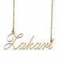 Custom Personalized Name Necklace in Golden Silver for Women Zakari