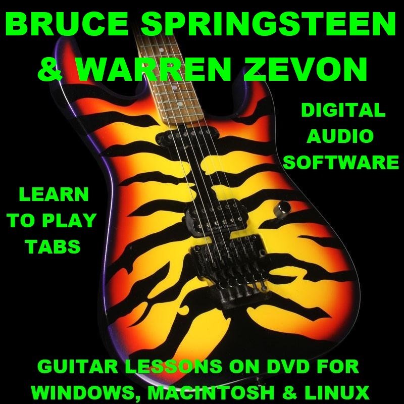 Bruce Springsteen Guitar TAB Lesson CD 670 TABS 57 BTs + BONUS Warren Zevon