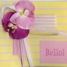 Orchids Hello Card