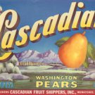 LOT of 10 all the Same Original Cascadian Pear Crate Labels
