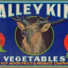 LOT of 10 all the Same Original Valley King Vegetables Crate Label S.F. CA