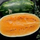 Tendersweet Orange Watermelon Seeds Very Sweet Non-Gmo Heirloom 10 Seeds Garden Seeds