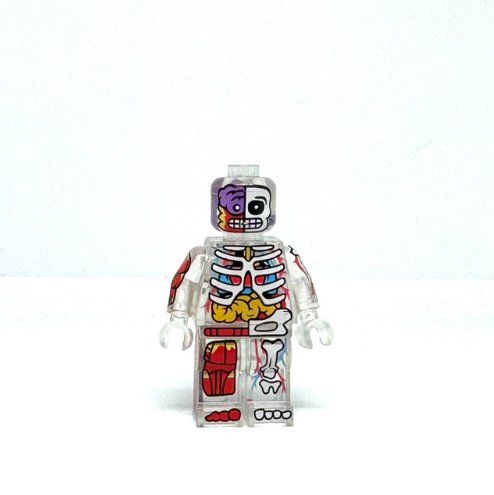 The Visible Man Dissecting a Human Skeleton Transparent Minifigure