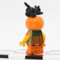 Pumpkin Scarecrow Black Cat Halloween Minifigures Accessories
